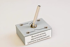 Выключатель двухполюсный (демонстрационный) - fgospostavki.ru - Полевской