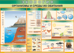 Таблица "Организмы и среды их обитания" (100х140 сантиметров, винил) - fgospostavki.ru - Полевской
