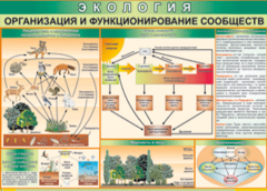 Таблица "Организация и функционирование сообществ" (100х140 сантиметров, винил) - fgospostavki.ru - Полевской