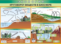 Таблица "Круговорот веществ в биосфере" (100х140 сантиметров, винил) - fgospostavki.ru - Полевской