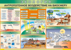 Таблица "Антропогенное воздействие на биосферу" (100х140 сантиметров, винил) - fgospostavki.ru - Полевской