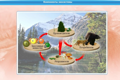 Интерактивные курсы. Биология 7 класс. Базовый. - fgospostavki.ru - Полевской