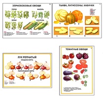 Плакаты ПРОФТЕХ "Ассортимент овощных культур" (12 пл, винил, 70х100) - fgospostavki.ru - Полевской