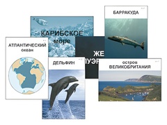Модель-аппликация "Океаны. Знакомство" (ламинированная) - fgospostavki.ru - Полевской