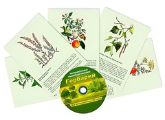 Интерактивный наглядный комплекс "Гербарий "Для начальной школы" - fgospostavki.ru - Полевской
