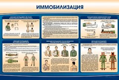 Стенд "Иммобилизация" - fgospostavki.ru - Полевской