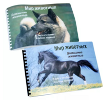 Пособие для слабовидящих - Домашние животные - fgospostavki.ru - Полевской