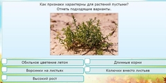 Интерактивные курсы. Окружающий мир 3 класс . Базовый. - fgospostavki.ru - Полевской