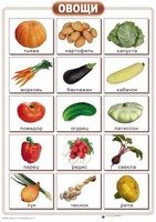 Таблицы "Окружающий мир" (формат А2, ламинированные, 10 таблиц) - fgospostavki.ru - Полевской