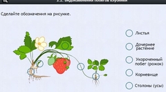Интерактивные курсы. Биология 7 класс. Расширенный. - fgospostavki.ru - Полевской