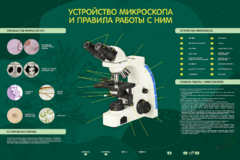 Электрифицированный стенд "Устройство микроскопа и правила работы c ним" - fgospostavki.ru - Полевской