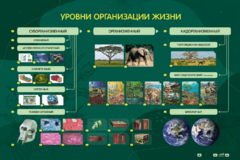 Электрифицированный стенд "Уровни организации жизни" - fgospostavki.ru - Полевской