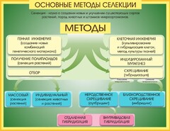 Стенд "Методы селекции и биотехнологии" - fgospostavki.ru - Полевской