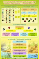 Стенд "Классификация животного мира" - fgospostavki.ru - Полевской