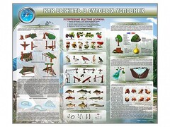 Стенд "Как выжить в суровых условиях" - fgospostavki.ru - Полевской