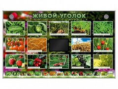 Комплект оборудования "Живой уголок" (растения) - fgospostavki.ru - Полевской