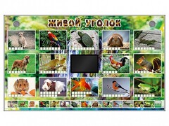 Комплект оборудования "Живой уголок" (животные) - fgospostavki.ru - Полевской