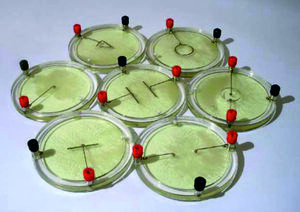 Демонстрационный комплект «Силовые линии электрического поля разных систем зарядов» - fgospostavki.ru - Полевской