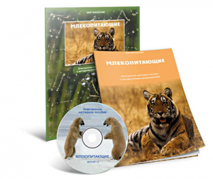 Электронное наглядное пособие «Млекопитающие» - fgospostavki.ru - Полевской