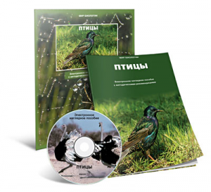 Электронное наглядное пособие «Птицы» - fgospostavki.ru - Полевской