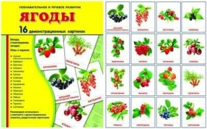 Демонстрационные карточки "Ягоды" - fgospostavki.ru - Полевской