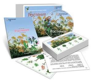 Комбинированное наглядное пособие «Растения» - fgospostavki.ru - Полевской