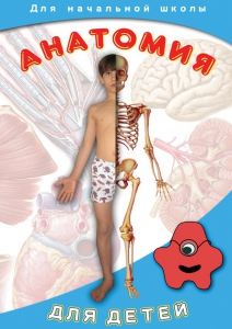 DVD "Анатомия для детей" - fgospostavki.ru - Полевской