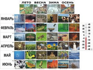 Фенологические наблюдения - fgospostavki.ru - Полевской