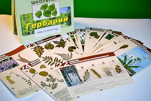 Гербарий к курсу основ общей биологии - fgospostavki.ru - Полевской