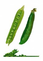 Комплект карточек "Запоминай, играй, считай" - Овощи - fgospostavki.ru - Полевской