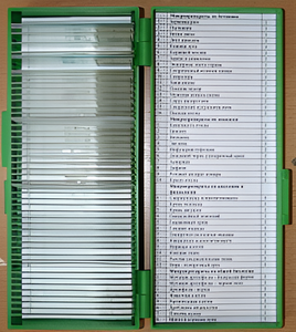 Набор микропрепаратов - fgospostavki.ru - Полевской