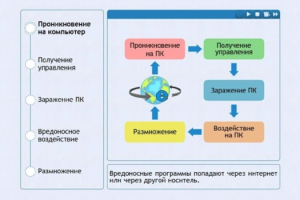 Интерактивные курсы. Информатика 10 класс . Базовый. - fgospostavki.ru - Полевской
