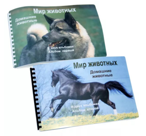 Пособие для слабовидящих - Домашние животные - fgospostavki.ru - Полевской