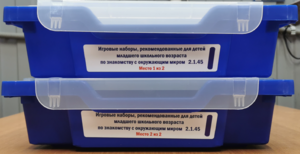 Игровые наборы, рекомендованные для детей младшего школьного возраста по знакомству с окружающим миром - fgospostavki.ru - Полевской