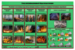 Стенд-планшет электрифицированный «Виды лесных пожаров»  - fgospostavki.ru - Полевской