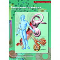 Интерактивные плакаты. Биология человека. Программно-методический комплекс - fgospostavki.ru - Полевской