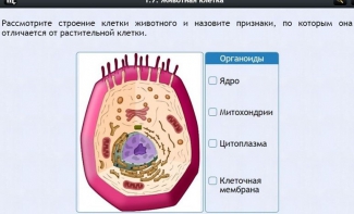 Интерактивные курсы. Биология 8 класс. Базовый - fgospostavki.ru - Полевской