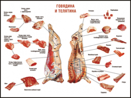 Таблица "Правила разделки мясных туш. Говядина и телятина" (100х140 сантиметров, винил) - fgospostavki.ru - Полевской