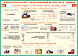 Таблица "Общий порядок оказания первой помощи пострадавшим" (100х140 сантиметров, винил) - fgospostavki.ru - Полевской