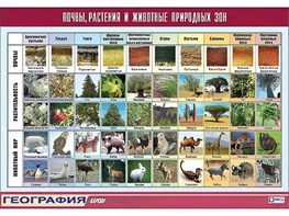 Таблица демонстрационная "Почвы, растения и животные природных зон" (винил 70*100) - fgospostavki.ru - Полевской