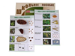 Коллекция "Шишки, плоды, семена деревьев и кустарников" - fgospostavki.ru - Полевской