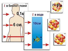 Модель-аппликация "Явление радиоактивности" (ламинированная) - fgospostavki.ru - Полевской
