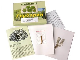 Гербарий "Водоросли. Грибы. Лишайники" (раздаточный) - fgospostavki.ru - Полевской