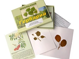 Гербарий "Систематика растений. Семейство Розоцветные" (раздаточный) - fgospostavki.ru - Полевской