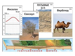 Модель-аппликация "Природные зоны" - fgospostavki.ru - Полевской