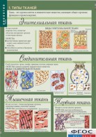 Комплект таблиц. Биология 8-9 класс. Человек. - fgospostavki.ru - Полевской