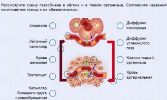 Интерактивные курсы. Биология 9 класс. Расширенный. - fgospostavki.ru - Полевской