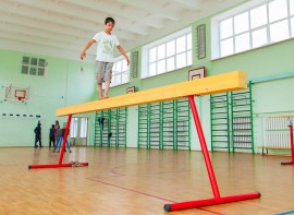 Бревно гимнастическое напольное постоянной высоты (700 мм) (5 м)	 - fgospostavki.ru - Полевской