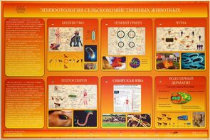 Электрифицированный стенд «Эпизоотология сельскохозяйственных животных» - fgospostavki.ru - Полевской