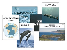 Модель-аппликация "Океаны. Знакомство" (ламинированная) - fgospostavki.ru - Полевской
